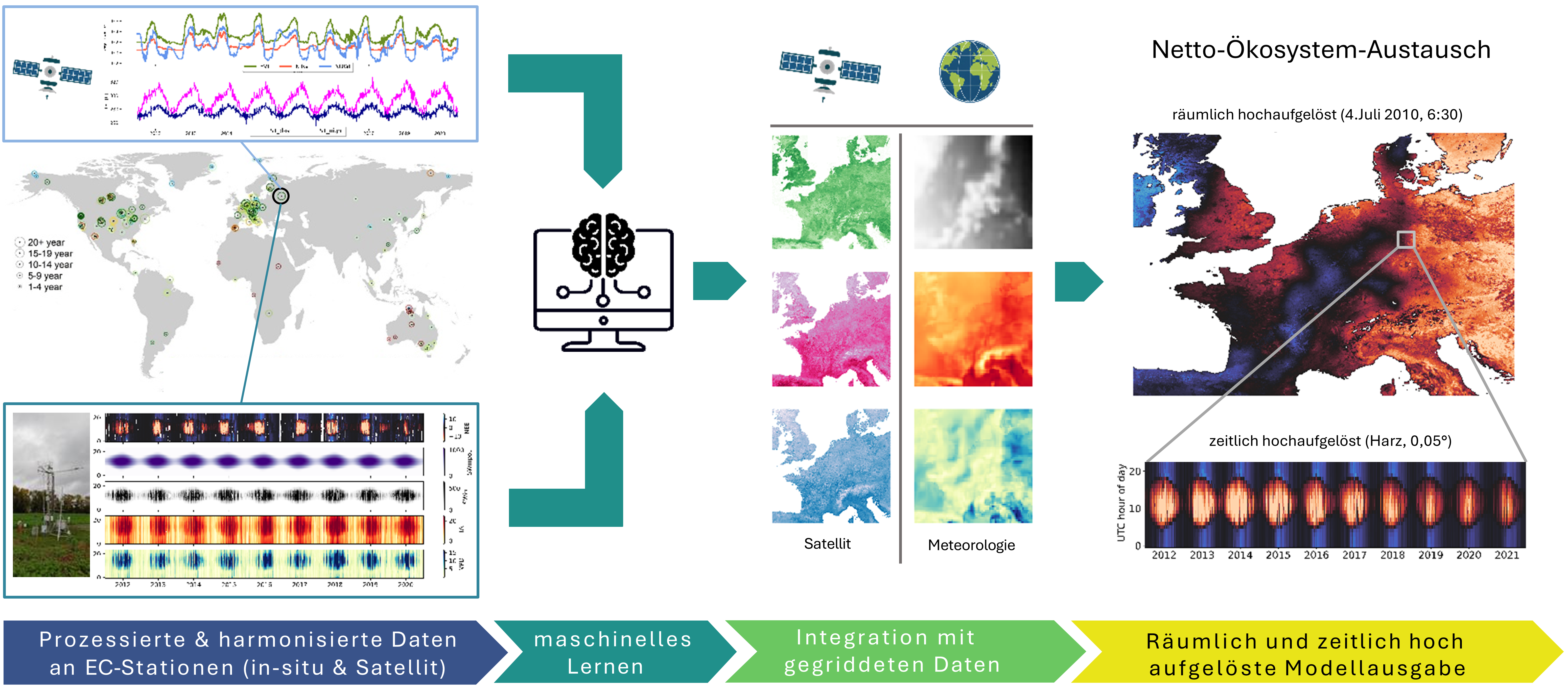 Datengetriebene Modellierung biogener CO₂-Flüsse in ITMS: An Stationen wie Gebesee werden Messungen zu Meteorologie und CO₂-Flüssen mit Satellitendaten kombiniert, um Algorithmen des maschinellen Lernens zu trainieren. Dies ermöglicht hochaufgelöste Schätzungen des CO₂-Austauschs auf regionaler Ebene. Bildnachweise: Stationen nach Pastorello et al. (2020); Grafikelemente von Google Gemini; KI-Symbol © popcornart – stock.adobe.com. Infografik zur Ermittlung biogener CO2-Flüsse: Sie zeigt den Ablauf von lokalen Messungen an Eddy-Kovarianz-Stationen (wie Gebesee) und Satellitendaten über das Training von Algorithmen des maschinellen Lernens bis hin zur räumlich-zeitlichen Extrapolation, die hochaufgelöste CO2-Flusskarten (stündlich, 0,05 Grad) liefert.