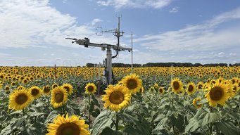 Eddy-Flux Tower at the ICOS ecosystem site in Gebesee, which is operated by the Thünen Institute. The data recorded in the ICOS network is used alongside other relevant data in the context of ITMS. Eddy-Flux Tower on a blooming sunflower field