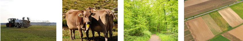 From left to right you can see a tractor spreading liquid manure, two cows standing next to each other, a forest and an aerial view of agricultural fields.