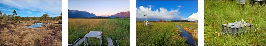 MODELPEAT From left to right, you can see a peatland with a pond, a peatland with a measuring chamber, a peatland with a drainage ditch and EC station, and a measuring chamber between tall grass.