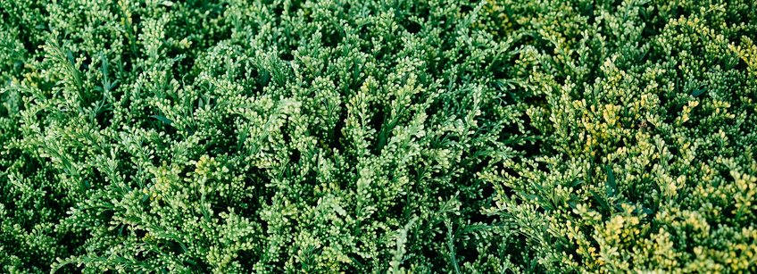 header_structure Bild von <a href="https://pixabay.com/de/users/viarami-13458823/?utm_source=link-attribution&utm_medium=referral&utm_campaign=image&utm_content=7296951">Markus Winkler</a> auf <a href="https://pixabay.com/de//?utm_source=link-attribution&utm_medium=referral&utm_campaign=image&utm_content=7296951">Pixabay</a>