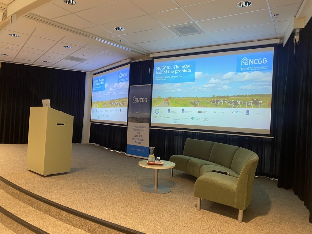 NCGG10 Stage