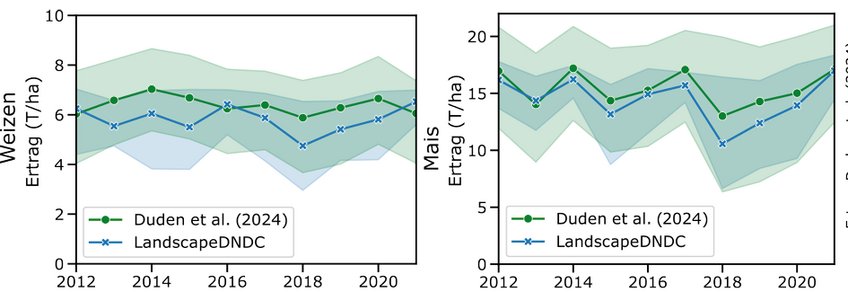 Abbildung 1: Vergleich realer (Duden et al. 2024) und simulierter (LandscapeDNDC) Daten für Weizenertrag (links) und Maisbiomasse (rechts) im Zeitraum 2017–2022. Zwei Liniendiagramme im Vergleich zwischen Beobachtungsdaten (Duden et al. 2024, grüne Punkte) und Simulationsdaten (LandscapeDNDC, blaue Kreuze) von 2012 bis 2021 mit schattierten Unsicherheitsbereichen.
Links: Weizenertrag in Tonnen pro Hektar (0–10 T/ha). Beide Kurven verlaufen ähnlich zwischen 5 und 7 T/ha, mit einem Tiefpunkt im Jahr 2018.
Rechts: Maisertrag in Tonnen pro Hektar (0–20 T/ha). Beide Kurven schwanken parallel zwischen ca. 11 und 17 T/ha, ebenfalls mit einem deutlichen Einbruch im Dürrejahr 2018.